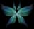 Wings of Spirits
